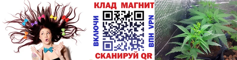 Где продают наркотики Славгород Cocaine  Псилоцибиновые грибы  NBOMe  Alpha PVP  Амфетамин  Бошки Шишки 