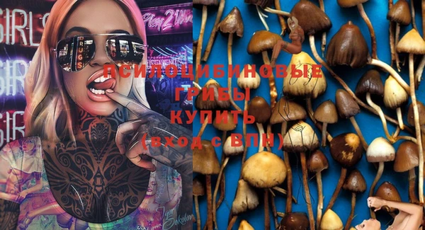 бошки Белоозёрский