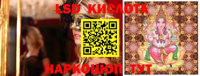 стаф Камышлов