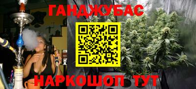 стаф Камышлов