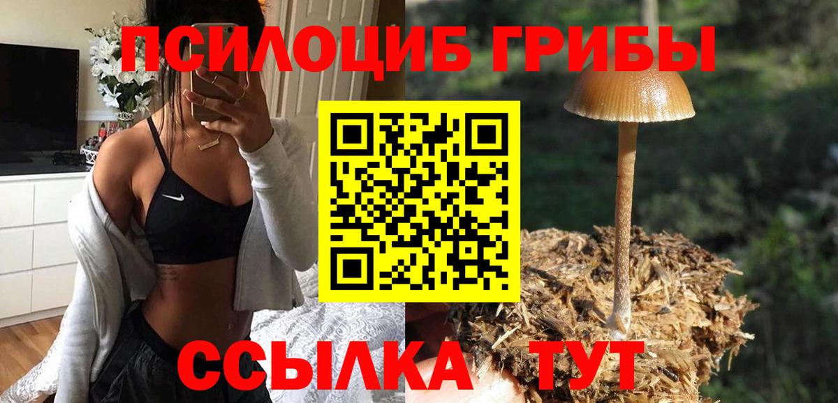 Галлюциногенные грибы MAGIC MUSHROOMS Славгород