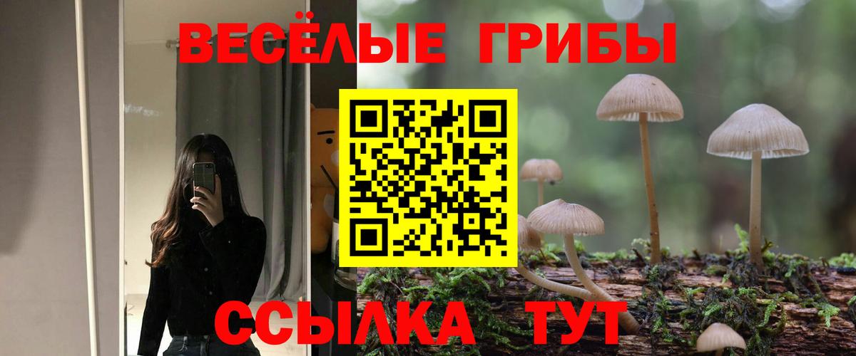 Славгород  Псилоцибиновые грибы мицелий  Вход с VPN 