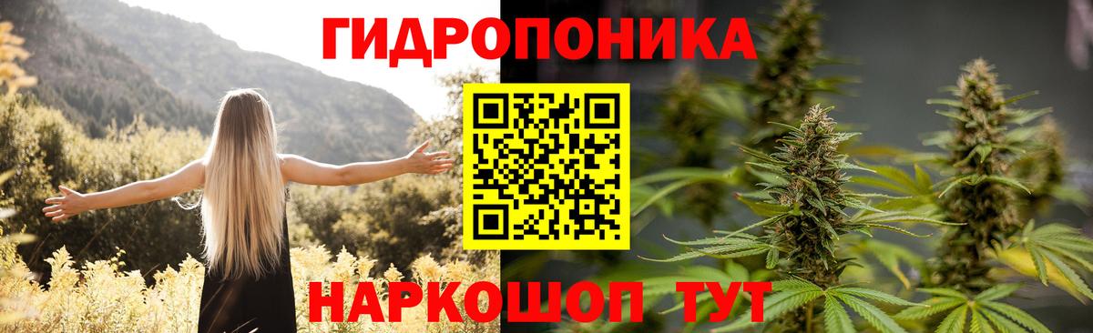 Марихуана AK-47  Вход с VPN  МАРИХУАНА марихуана  Славгород  Канабис OG Kush 